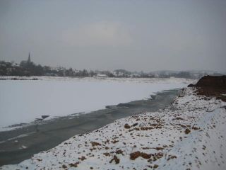 rekultivierung-biotope_009.jpg